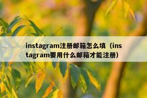 instagram注册邮箱怎么填（instagram要用什么邮箱才能注册） 第1张