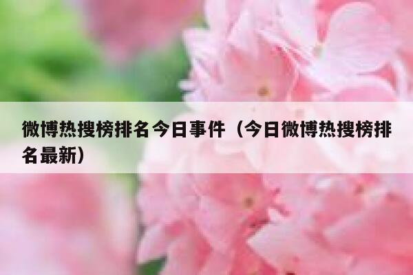 微博热搜榜排名今日事件（今日微博热搜榜排名最新） 第1张