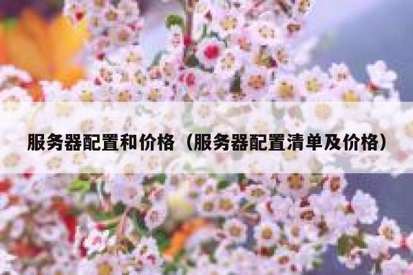 服务器配置和价格（服务器配置清单及价格） 第1张