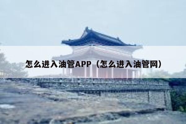 怎么进入油管APP（怎么进入油管网） 第1张