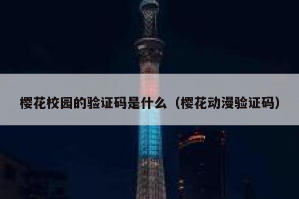 樱花校园的验证码是什么（樱花动漫验证码） 第1张