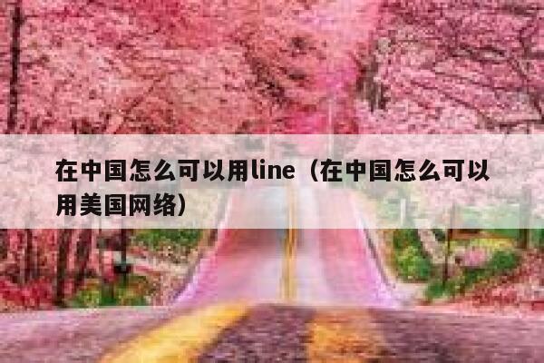 在中国怎么可以用line（在中国怎么可以用美国网络） 第1张
