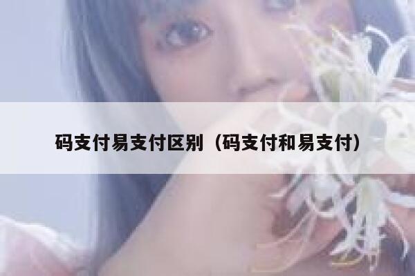 码支付易支付区别（码支付和易支付） 第1张