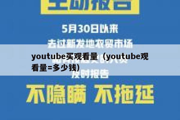 youtube买观看量（youtube观看量=多少钱） 第1张