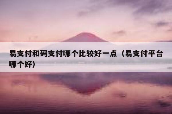 易支付和码支付哪个比较好一点（易支付平台哪个好） 第1张