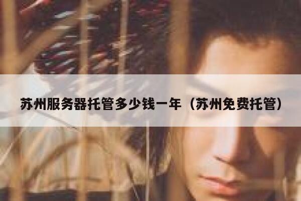 苏州服务器托管多少钱一年（苏州免费托管） 第1张