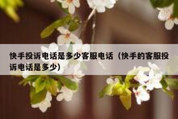 快手投诉电话是多少客服电话（快手的客服投诉电话是多少） 第1张