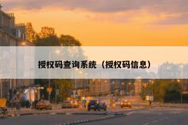 授权码查询系统（授权码信息） 第1张