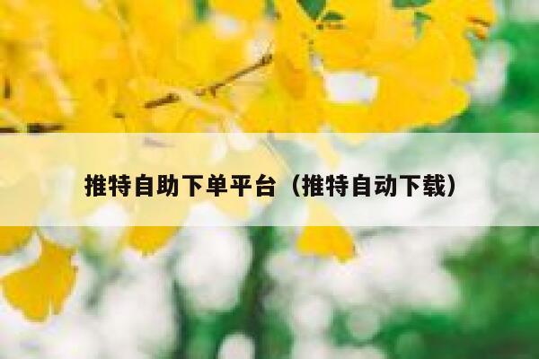 推特自助下单平台（推特自动下载） 第1张