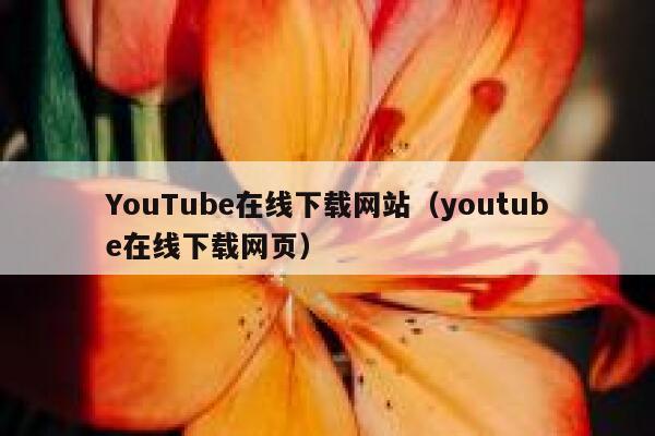YouTube在线下载网站（youtube在线下载网页） 第1张