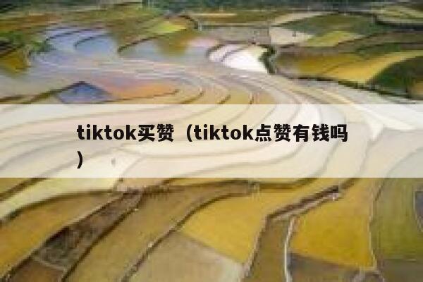 tiktok买赞（tiktok点赞有钱吗） 第1张