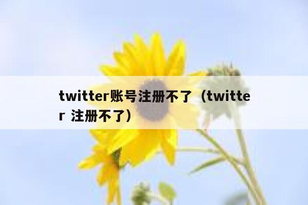 twitter账号注册不了（twitter 注册不了） 第1张