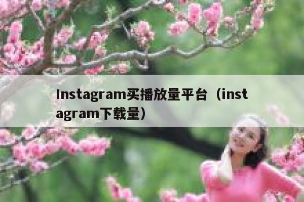 Instagram买播放量平台（instagram下载量） 第1张