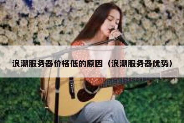 浪潮服务器价格低的原因（浪潮服务器优势） 第1张