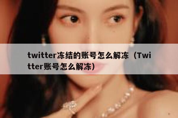twitter冻结的账号怎么解冻（Twitter账号怎么解冻） 第1张