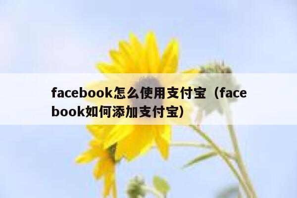facebook怎么使用支付宝（facebook如何添加支付宝） 第1张