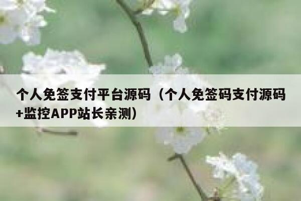 个人免签支付平台源码（个人免签码支付源码+监控APP站长亲测） 第1张
