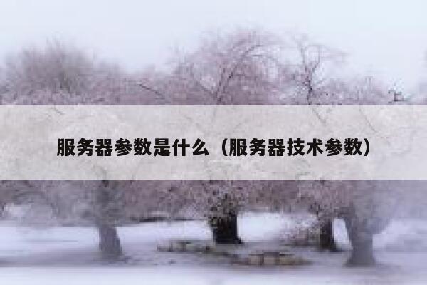 服务器参数是什么（服务器技术参数） 第1张