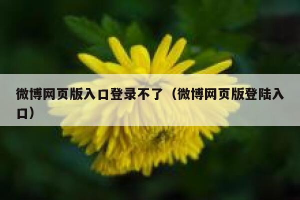 微博网页版入口登录不了（微博网页版登陆入口） 第1张