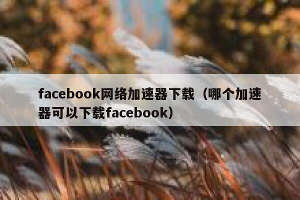 facebook网络加速器下载（哪个加速器可以下载facebook） 第1张