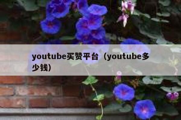 youtube买赞平台（youtube多少钱） 第1张