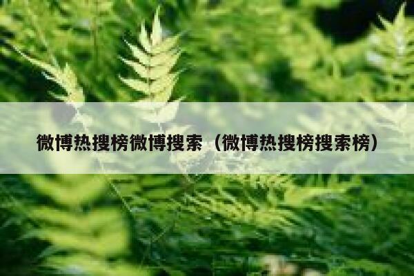 微博热搜榜微博搜索（微博热搜榜搜索榜） 第1张