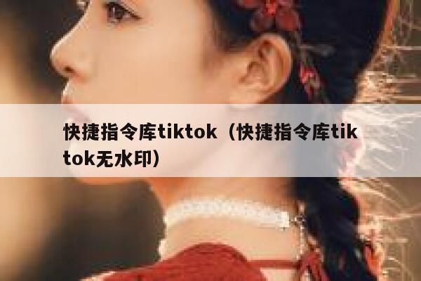 快捷指令库tiktok（快捷指令库tiktok无水印） 第1张