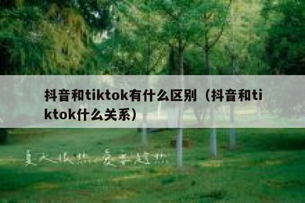 抖音和tiktok有什么区别（抖音和tiktok什么关系） 第1张