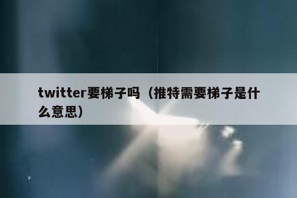 twitter要梯子吗（推特需要梯子是什么意思） 第1张