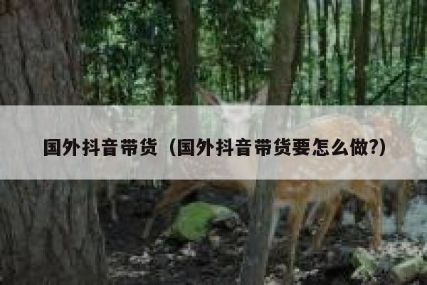 国外抖音带货（国外抖音带货要怎么做?） 第1张