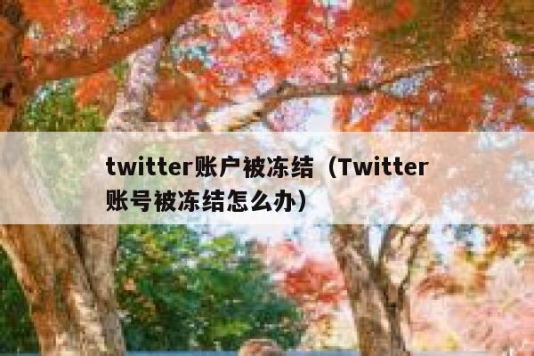 twitter账户被冻结（Twitter账号被冻结怎么办） 第1张