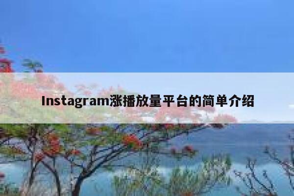 Instagram涨播放量平台的简单介绍 第1张