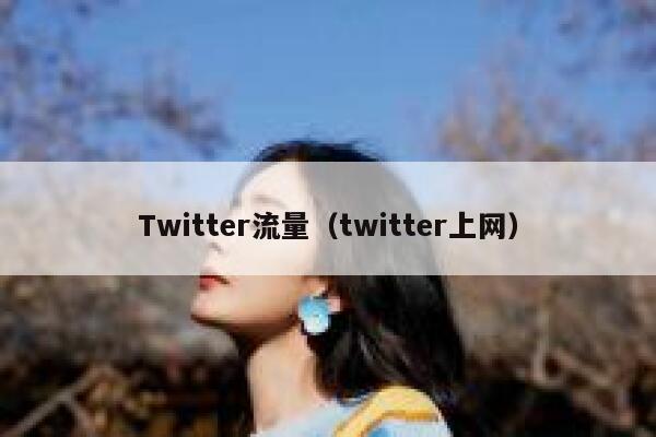Twitter流量（twitter上网） 第1张