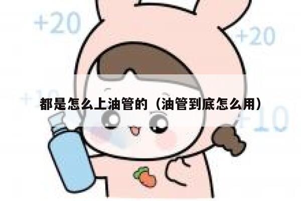 都是怎么上油管的（油管到底怎么用） 第1张