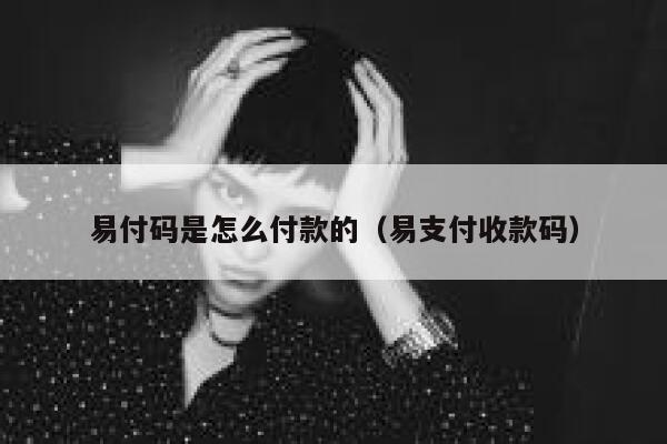 易付码是怎么付款的（易支付收款码） 第1张
