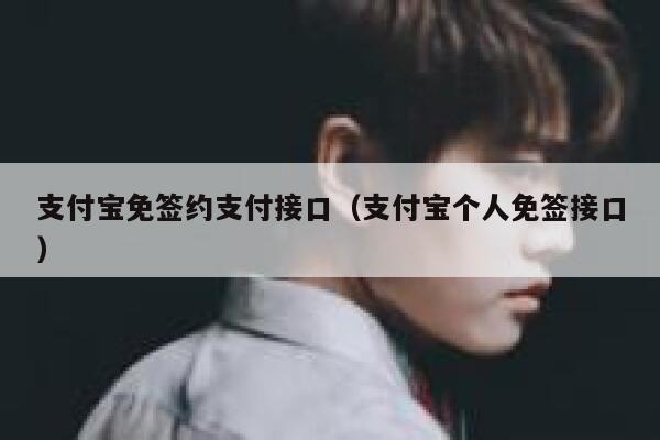 支付宝免签约支付接口（支付宝个人免签接口） 第1张