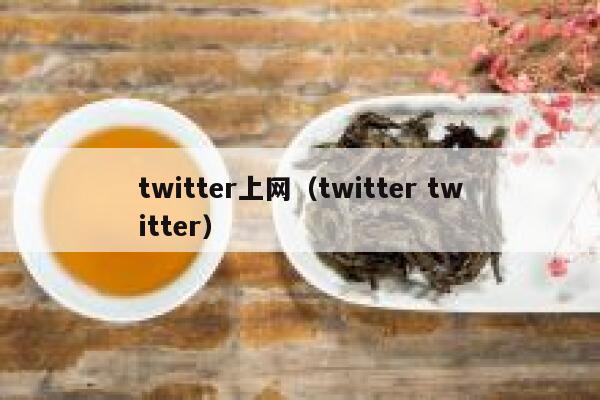twitter上网（twitter twitter） 第1张
