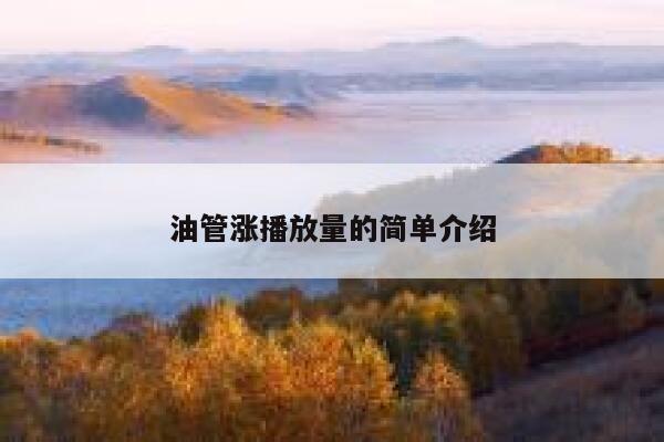 油管涨播放量的简单介绍 第1张