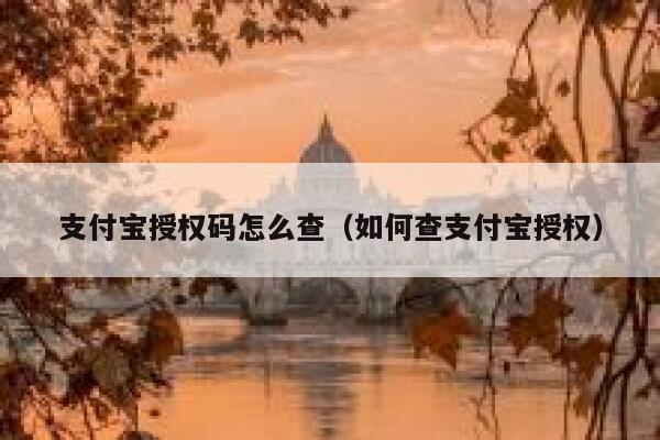 支付宝授权码怎么查（如何查支付宝授权） 第1张