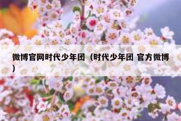 微博官网时代少年团（时代少年团 官方微博） 第1张
