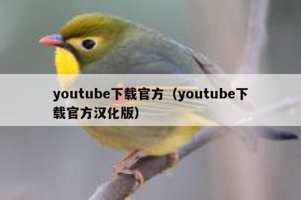 youtube下载官方（youtube下载官方汉化版） 第1张