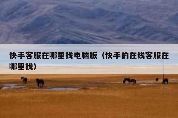 快手客服在哪里找电脑版（快手的在线客服在哪里找） 第1张
