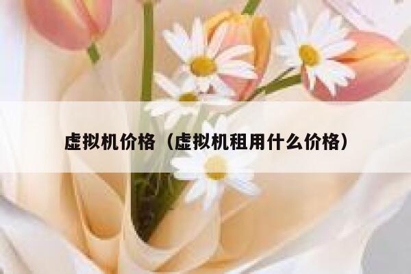 虚拟机价格（虚拟机租用什么价格） 第1张
