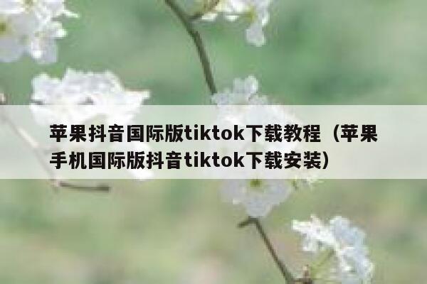 苹果抖音国际版tiktok下载教程（苹果手机国际版抖音tiktok下载安装） 第1张