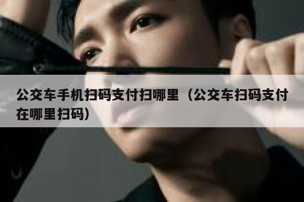 公交车手机扫码支付扫哪里（公交车扫码支付在哪里扫码） 第1张