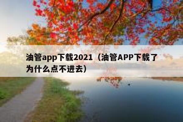 油管app下载2021（油管APP下载了为什么点不进去） 第1张