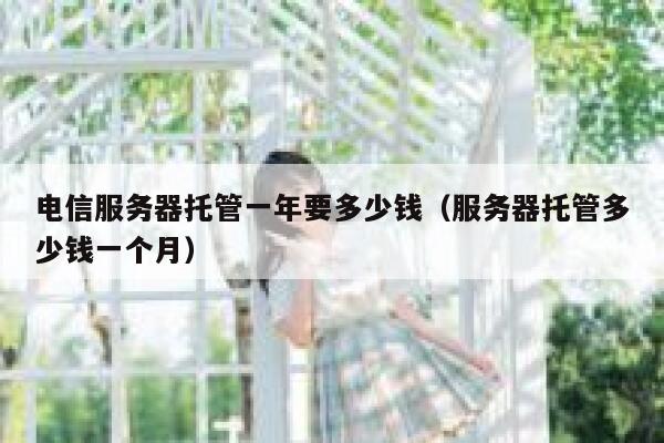 电信服务器托管一年要多少钱（服务器托管多少钱一个月） 第1张