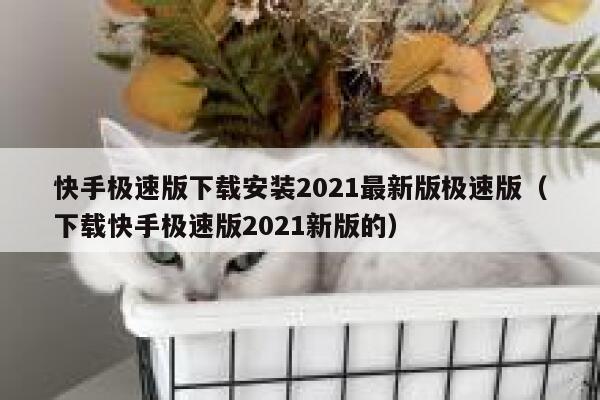 快手极速版下载安装2021最新版极速版（下载快手极速版2021新版的） 第1张