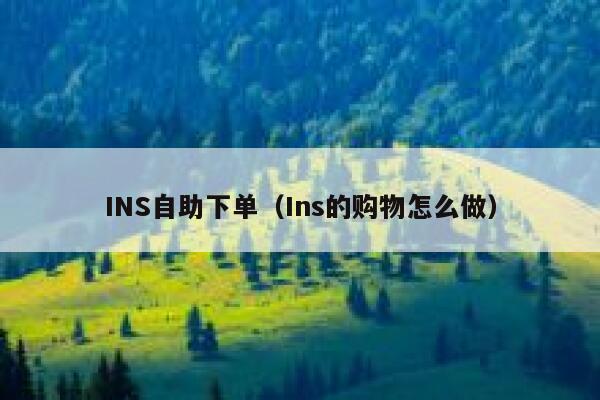 INS自助下单（Ins的购物怎么做） 第1张