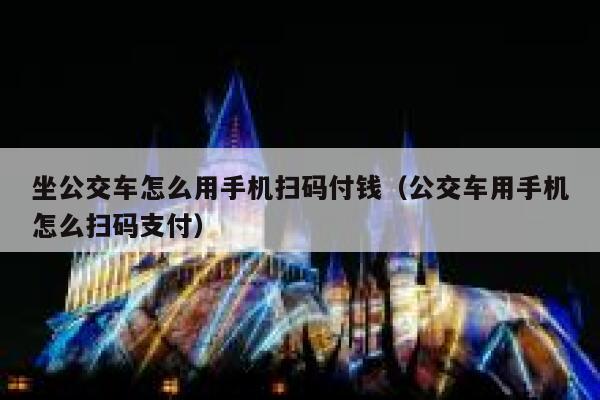 坐公交车怎么用手机扫码付钱（公交车用手机怎么扫码支付） 第1张